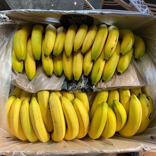 Plátano