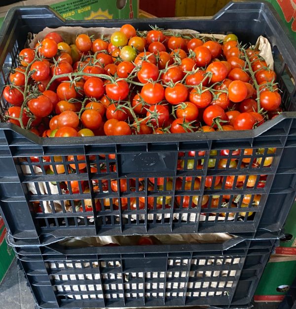 Tomate Cherry 7kg